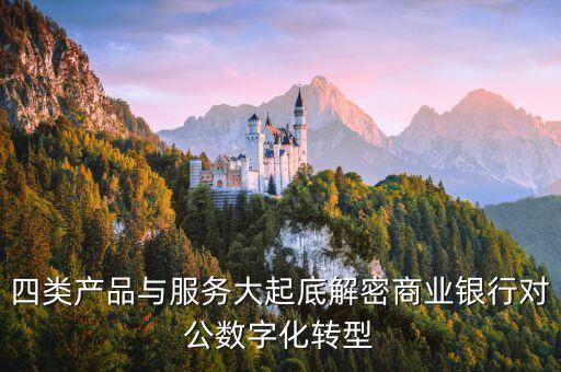 四類產(chǎn)品與服務(wù)大起底解密商業(yè)銀行對(duì)公數(shù)字化轉(zhuǎn)型