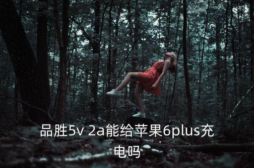 iphone6 plus數(shù)據(jù)線 2a,IPhone6 plus什么處理器