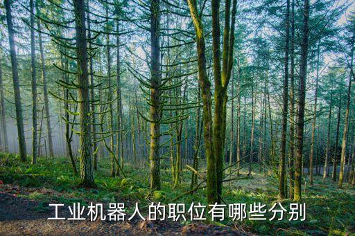 機(jī)器人行業(yè)分類(lèi),中國(guó)電子學(xué)會(huì):工業(yè)機(jī)器人分三類(lèi)