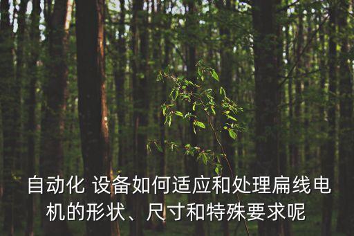  自動(dòng)化 設(shè)備如何適應(yīng)和處理扁線電機(jī)的形狀、尺寸和特殊要求呢
