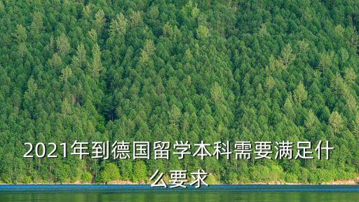 2021年到德國留學(xué)本科需要滿足什么要求