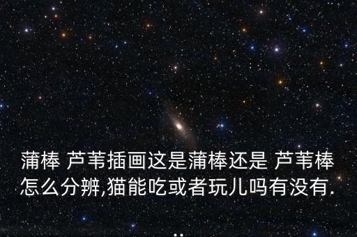 自動(dòng)化蘆葦蠟燭設(shè)備