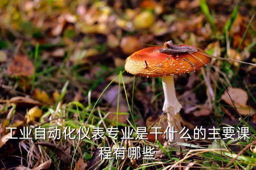 工業(yè)自動化儀表專業(yè)是干什么的主要課程有哪些