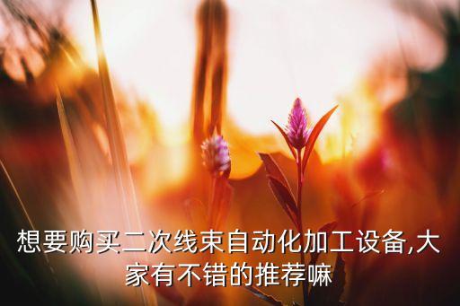 想要購買二次線束自動化加工設(shè)備,大家有不錯的推薦嘛