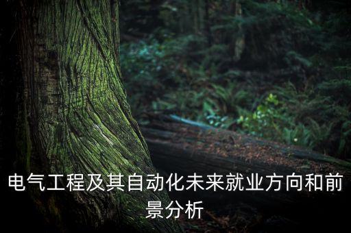 電氣工程及其自動化未來就業(yè)方向和前景分析