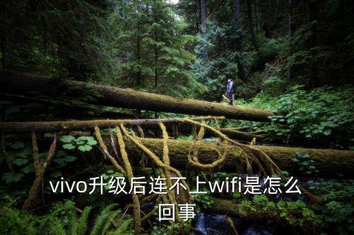 更新后連不上數(shù)據(jù)網(wǎng)絡(luò),手機(jī)連不上數(shù)據(jù)網(wǎng)絡(luò)是什么原因