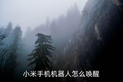 小米手機(jī)機(jī)器人怎么喚醒