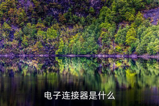 電子連接器是什么