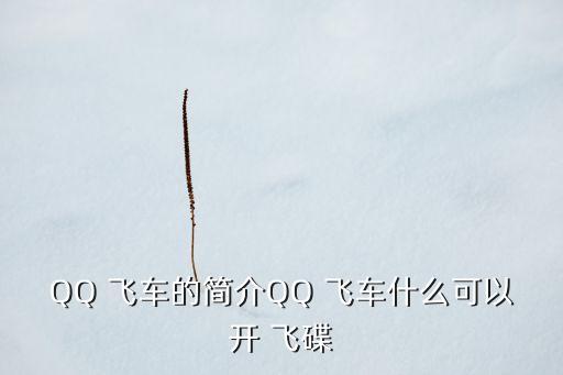 QQ 飛車的簡介QQ 飛車什么可以開 飛碟