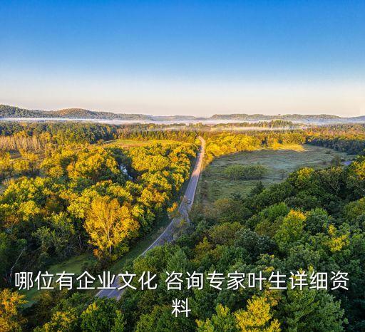 哪位有企業(yè)文化 咨詢專家葉生詳細(xì)資料