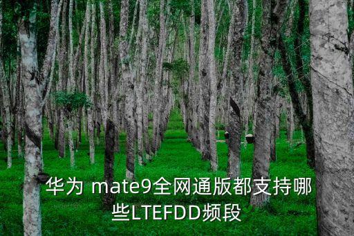  華為 mate9全網(wǎng)通版都支持哪些LTEFDD頻段
