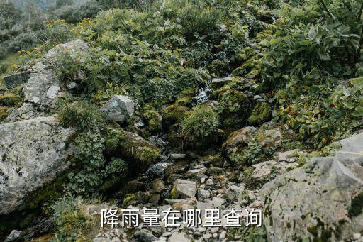 降雨量在哪里查詢