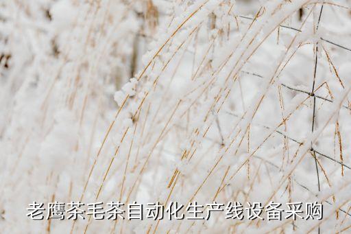 麗水自動(dòng)化設(shè)備要多少錢,全自動(dòng)洗車設(shè)備需要花多少錢?