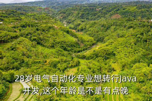28歲電氣自動化專業(yè)想轉行Java開發(fā),這個年齡是不是有點晚