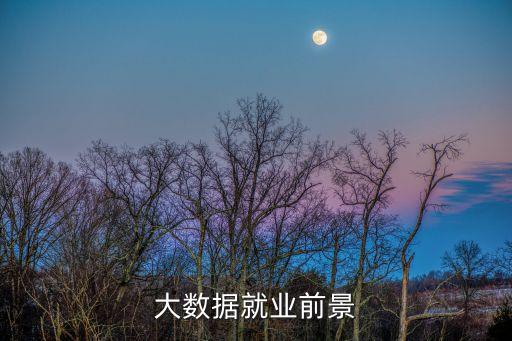 最近怎么那么多大數(shù)據(jù),大數(shù)據(jù)從何而來?