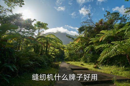 縫紉機(jī)什么牌子好用