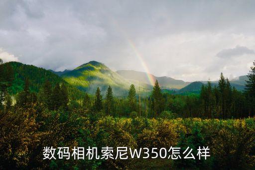 數(shù)碼相機索尼W350怎么樣