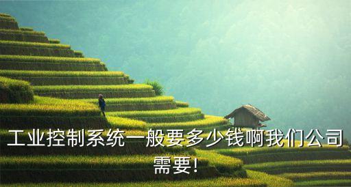 工業(yè)控制系統(tǒng)一般要多少錢啊我們公司需要!
