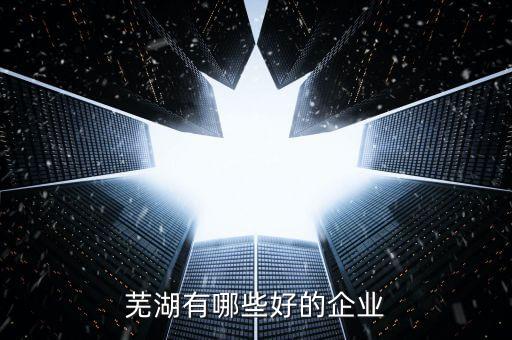 蕪湖有哪些好的企業(yè)