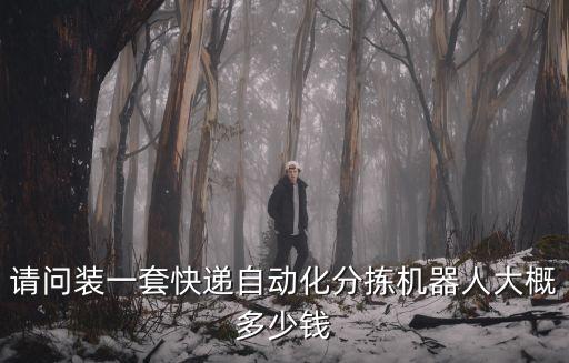請問裝一套快遞自動化分揀機(jī)器人大概多少錢