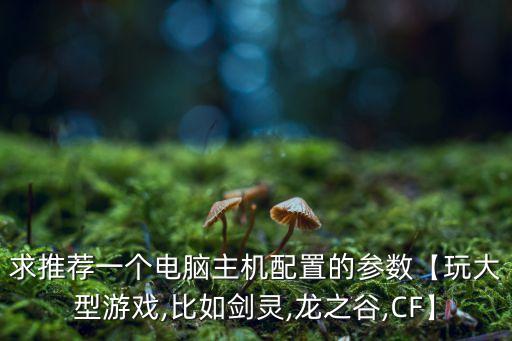 求推薦一個(gè)電腦主機(jī)配置的參數(shù)【玩大型游戲,比如劍靈,龍之谷,CF】