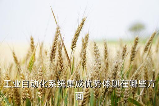 工業(yè)自動化系統(tǒng)集成優(yōu)勢體現(xiàn)在哪些方面