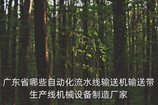廣東省哪些自動(dòng)化流水線輸送機(jī)輸送帶生產(chǎn)線機(jī)械設(shè)備制造廠家