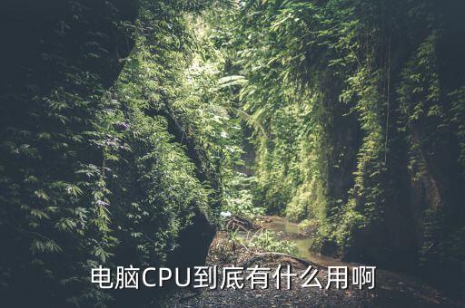 cpu作用,買電腦注重cpu還是顯卡
