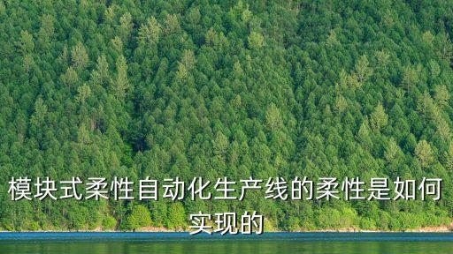 模塊式柔性自動(dòng)化生產(chǎn)線的柔性是如何實(shí)現(xiàn)的