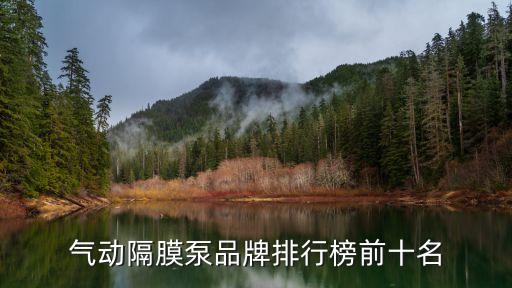 氣動隔膜泵品牌排行榜前十名