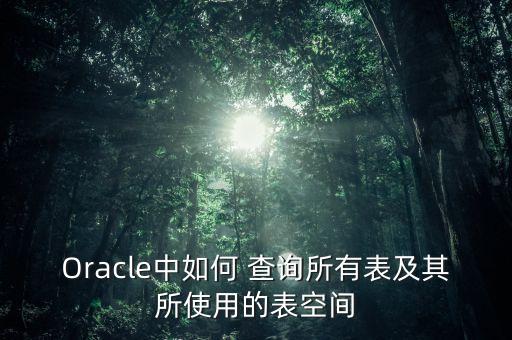 oracle查詢數(shù)據(jù)增長量,Oracle查詢數(shù)據(jù)庫表的數(shù)據(jù)量大小