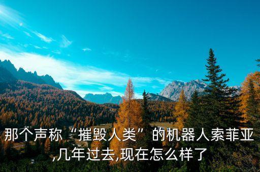 那個(gè)聲稱“摧毀人類”的機(jī)器人索菲亞,幾年過(guò)去,現(xiàn)在怎么樣了