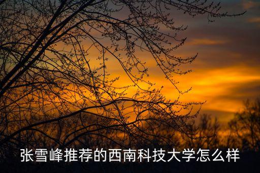 張雪峰推薦的西南科技大學(xué)怎么樣