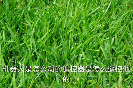 機(jī)器人是怎么動(dòng)的遙控器是怎么遙控他的