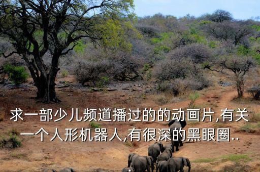 求一部少兒頻道播過的的動(dòng)畫片,有關(guān)一個(gè)人形機(jī)器人,有很深的黑眼圈...