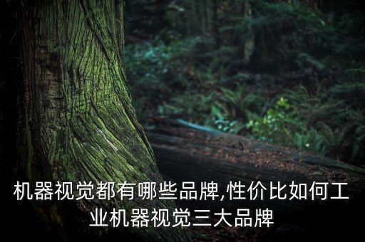 機器視覺都有哪些品牌,性價比如何工業(yè)機器視覺三大品牌
