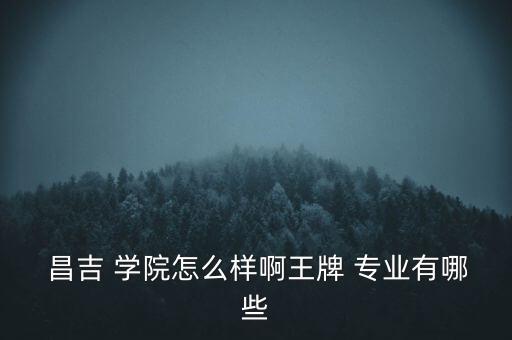 昌吉學(xué)院的自動(dòng)化專業(yè)好嘛