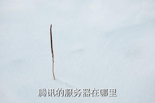 騰訊的服務(wù)器在哪里