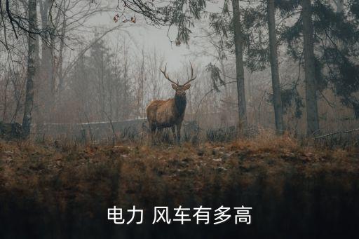 發(fā)電風(fēng)車數(shù)據(jù)