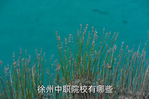  徐州中職院校有哪些