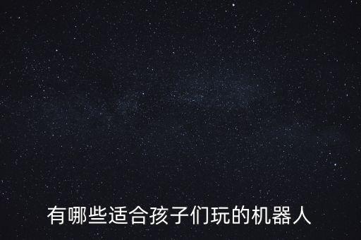 有哪些適合孩子們玩的機(jī)器人