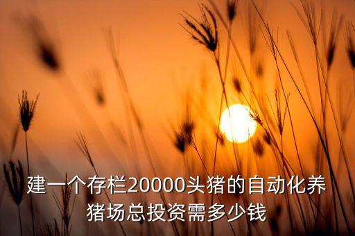 建一個(gè)存欄20000頭豬的自動(dòng)化養(yǎng)豬場總投資需多少錢