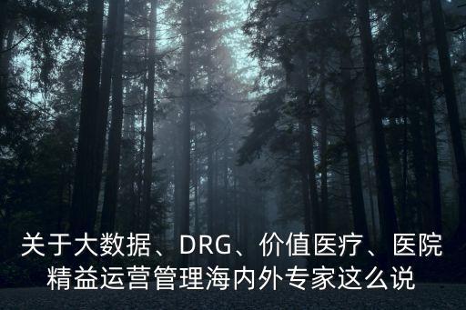 關(guān)于大數(shù)據(jù)、DRG、價值醫(yī)療、醫(yī)院精益運營管理海內(nèi)外專家這么說