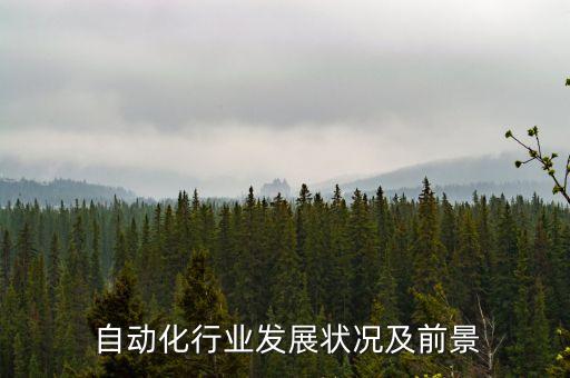 自動(dòng)化行業(yè)發(fā)展?fàn)顩r及前景
