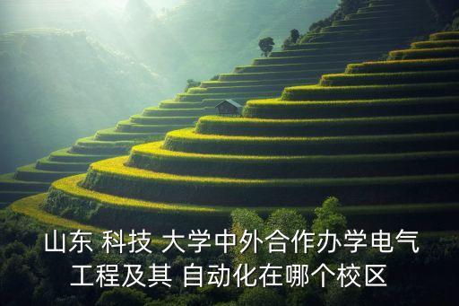 山東科技大學自動化在哪里