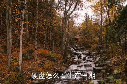 硬盤怎么看生產(chǎn)日期