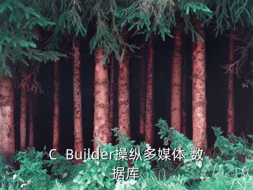C  Builder操縱多媒體 數(shù)據(jù)庫