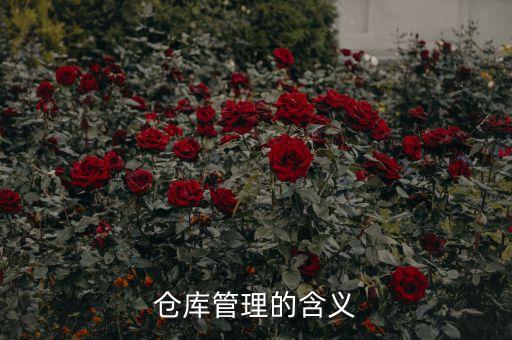冠宇自動化設備,聚合物鋰離子電池你知道這些?