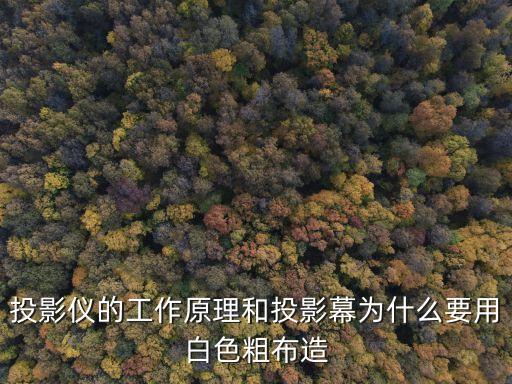 投影儀原理,投影儀的工作原理和投影幕為什么用白色粗布造?