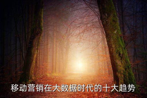百度地圖 數(shù)據(jù)挖掘,移動營銷在大數(shù)據(jù)時代十大趨勢